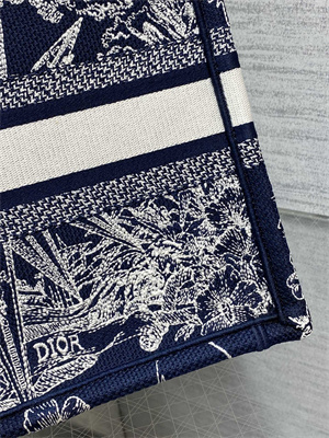 CD Small Book Tote R??ve d’Infini Embroidery Blue and White