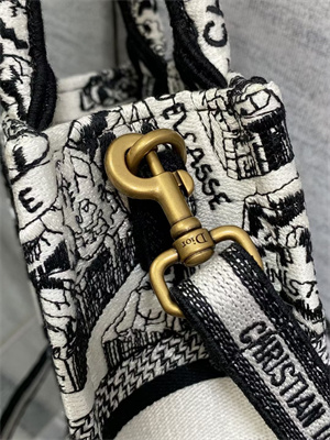 CD Mini Vertical Di.or Book Tote With Strap Plan de Paris Embroidery White and Black