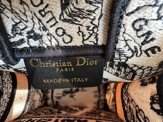 CD Mini Vertical Di.or Book Tote With Strap Plan de Paris Embroidery Beige and Black