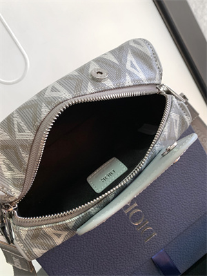 Di.or Lingot 22 Shoulder Bag Grey CD Diamond Canvas