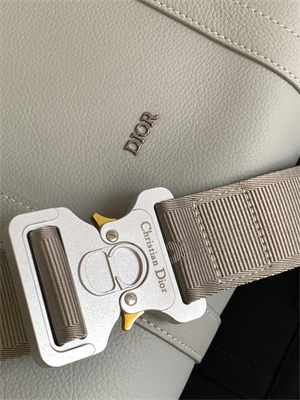 Di.or Lingot 50 Travel Bag Grey Grained Calfskin