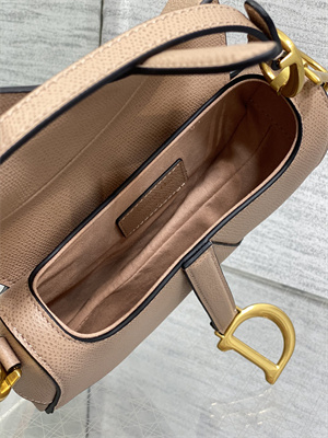 CD Mini Saddle Bag Grained Calfskin Blush Color