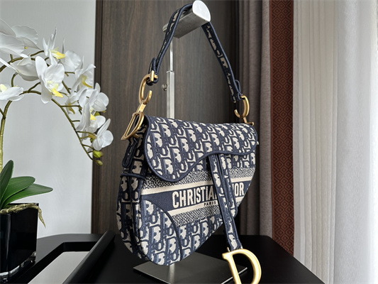 CD Saddle Bag Oblique Embroidery Blue Color