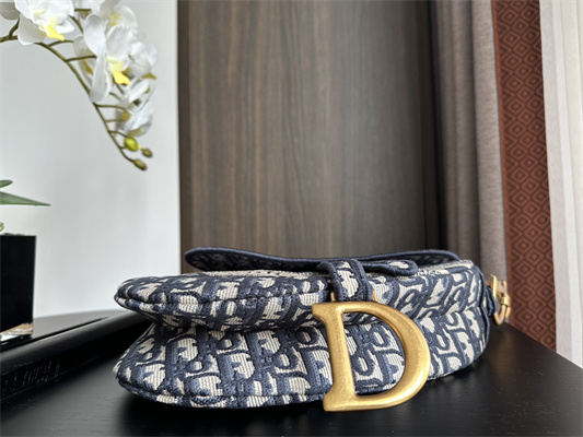 CD Saddle Bag Oblique Embroidery Blue Color