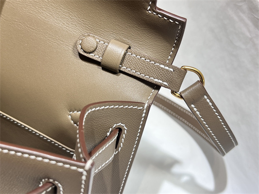 Kelly Elan Bag Madame Leather Gold Tone Metal In Trench Color HS