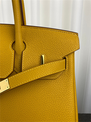 Bir.kin Bag TOGO Leather 25/30/35CM Gold/Silver Hardware In Jaune Amber Color HS