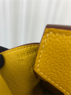 Bir.kin Bag TOGO Leather 25/30/35CM Gold/Silver Hardware In Jaune Amber Color HS