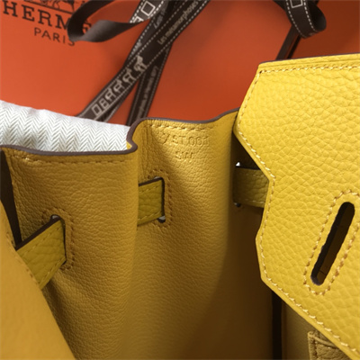 Bir.kin Bag Calfskin Leather 25/30/35CM Gold/Silver Hardware In Jaune Amber Color