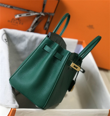 Bir.kin Bag Calfskin Leather 25/30/35CM Gold/Silver Hardware In Vert Vertigo Color