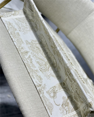 CD Large Book Tote Toile de Jouy Embroidery White and Gold Tone