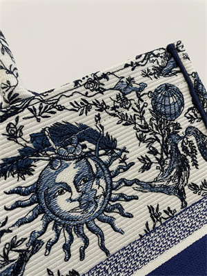 CD Large Book Tote White and Navy Toile de Jouy Solei Embroidery