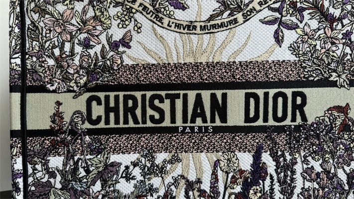 CD Medium Book Tote Ecru Multicolor Di.or 4 Saisons Hiver Soleil Embroidery