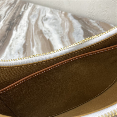 Celine AVA Bag In Triomphe Canvas and Calfskin White