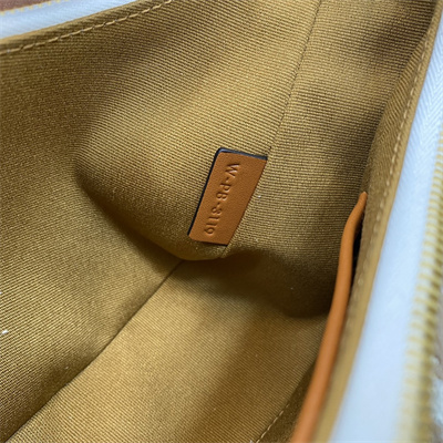 Celine AVA Bag In Triomphe Canvas and Calfskin White