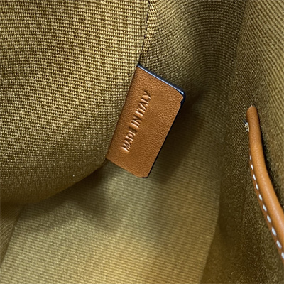 Celine AVA Bag In Triomphe Canvas and Calfskin White