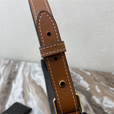 Celine AVA Bag In Triomphe Canvas and Calfskin Tan