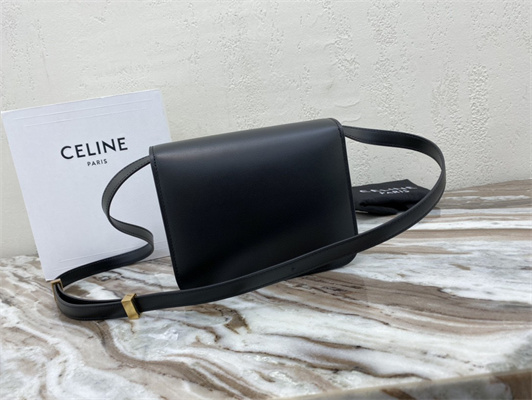 Celine Teen Classic Box Bag In Black Box Calfskin Leather