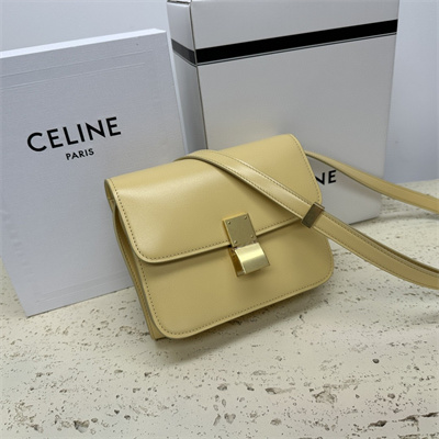 Celine Teen Classic Box Bag In Pollen Box Calfskin Leather