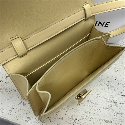 Celine Teen Classic Box Bag In Pollen Box Calfskin Leather