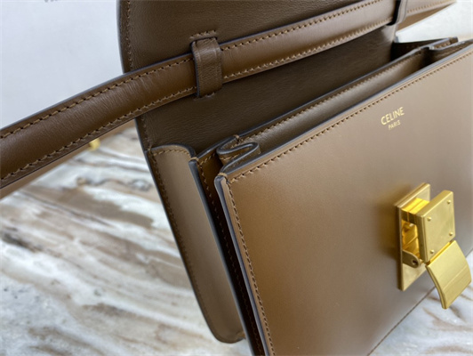 Celine Teen Classic Box Bag In Brown Box Calfskin Leather