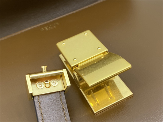 Celine Teen Classic Box Bag In Brown Box Calfskin Leather