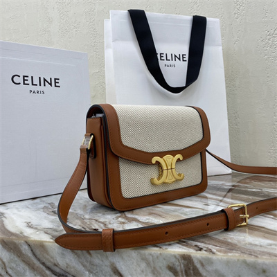 Celine Teen Triomphe Bag In Textile  and Calfskin Nature/Tan