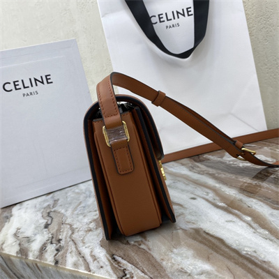 Celine Teen Triomphe Bag In Textile  and Calfskin Nature/Tan