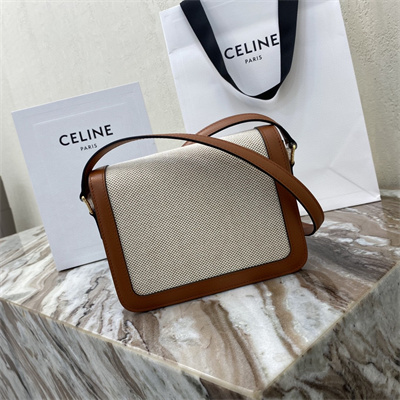 Celine Teen Triomphe Bag In Textile  and Calfskin Nature/Tan