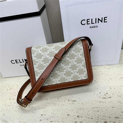 Celine Teen Triomphe Bag In Triomphe Canvas and Calfskin Grege
