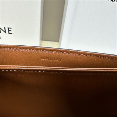 Celine Teen Triomphe Bag In Triomphe Canvas and Calfskin Grege
