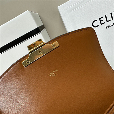 Celine Teen Triomphe Bag In Triomphe Canvas and Calfskin Grege