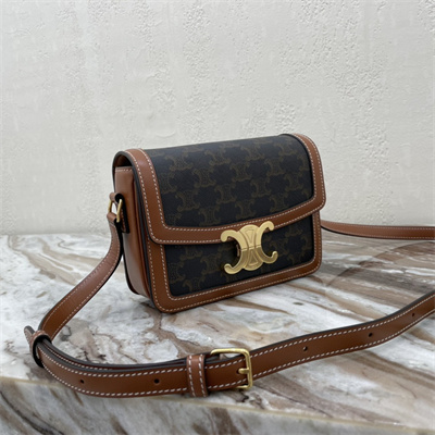 Celine Teen Triomphe Bag In Triomphe Canvas and Calfskin Tan