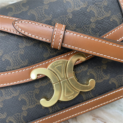 Celine Teen Triomphe Bag In Triomphe Canvas and Calfskin Tan