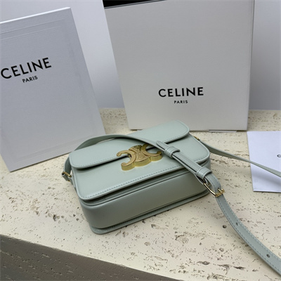 Celine Teen Triomphe Bag In Shiny Calfskin Pale Green Color