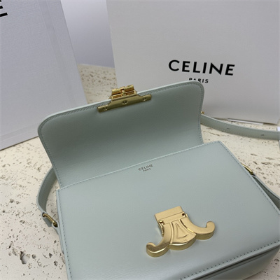 Celine Teen Triomphe Bag In Shiny Calfskin Pale Green Color