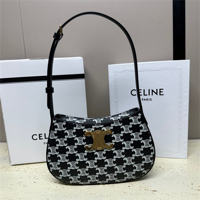 Celine Medium TILLY Bag In Triomphe Canvas and Calfskin Black and White