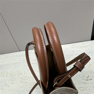 Celine Mini Vertical Cabas In Triomphe Canvas And Calfskin Greige