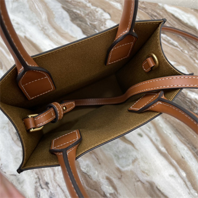 Celine Mini Vertical Cabas In Triomphe Canvas And Calfskin Tan With Celine  Print