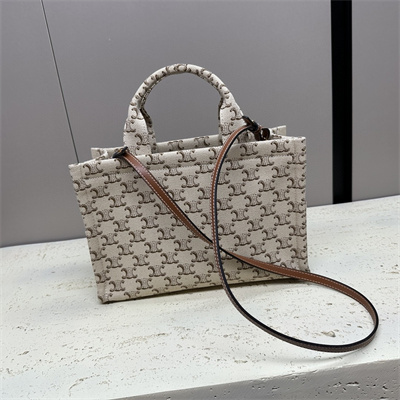 Celine Small Cabas Thais In Textile With Triomphe Canvas Print And Calfskin