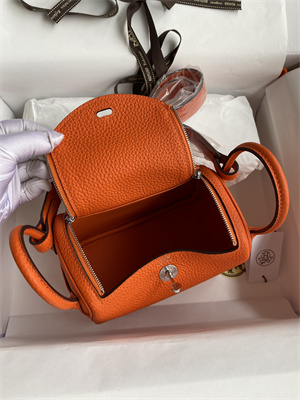 Lindy Mini Bag Taurillon Clemence Leather Gold/Silver Tone Metal In Orange Color HS