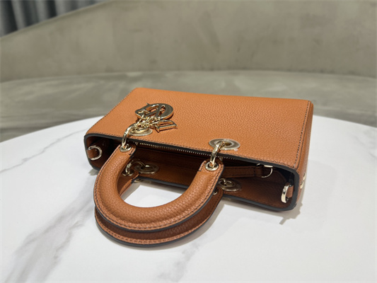 CD Lady D-Sire Small My ABCDior Bag Bull Leather Brown