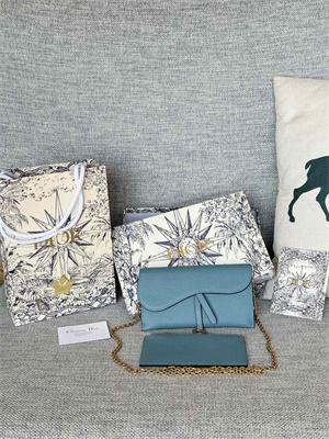 CD Long Saddle Wallet With Chain Grained Calfskin Blue