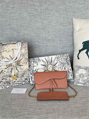 CD Long Saddle Wallet With Chain Grained Calfskin Brown