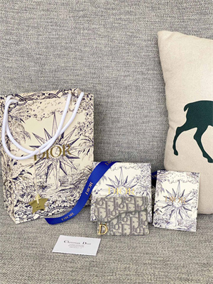 CD Saddle Card Holder Gray Dior Oblique Jacquard S5610