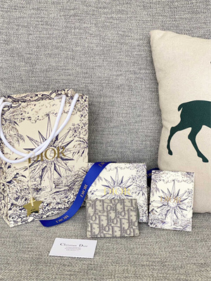 CD Saddle Card Holder Gray Dior Oblique Jacquard S5610