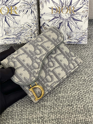 CD Saddle Card Holder Gray Dior Oblique Jacquard S5610