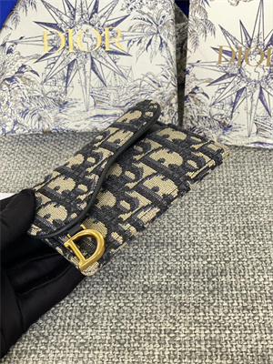 CD Saddle Card Holder Blue Dior Oblique Jacquard S5610