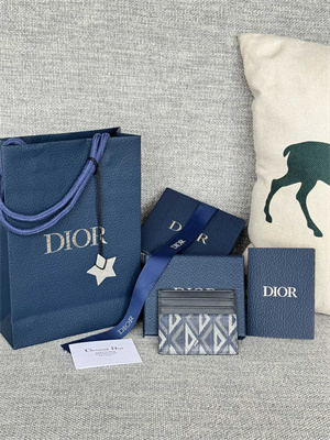 CD Card Holder Blue CD Diamond Canvas