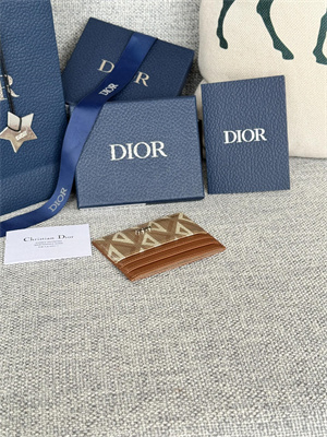 CD Card Holder Brown CD Diamond Canvas