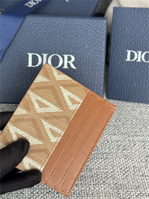 CD Card Holder Brown CD Diamond Canvas